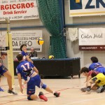 Odbojka  D liga : Sloga Tabor : Triestina volley