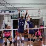 Odbojka D liga : Kontoval Zalet - Maurica Mucci