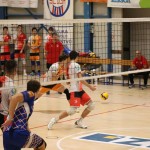 Odbojka  D liga : Sloga Tabor : Triestina volley