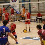 Odbojka  D liga : Sloga Tabor : Triestina volley