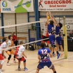 Odbojka  D liga : Sloga Tabor : Triestina volley
