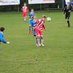 Nogomet deželni U 16 : Zarja Breg - Opicina