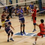 Odbojka  D liga : Sloga Tabor : Triestina volley