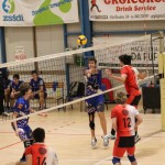 Odbojka  D liga : Sloga Tabor : Triestina volley