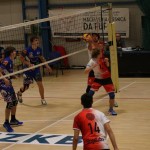 Odbojka  D liga : Sloga Tabor : Triestina volley