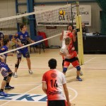 Odbojka  D liga : Sloga Tabor : Triestina volley