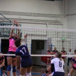 Odbojka D liga : Kontoval Zalet - Maurica Mucci