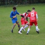 Nogomet deželni U 16 : Zarja Breg - Opicina