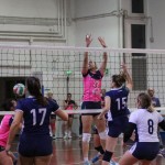 Odbojka D liga : Kontoval Zalet - Maurica Mucci