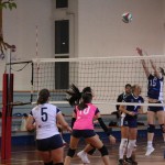 Odbojka D liga : Kontoval Zalet - Maurica Mucci