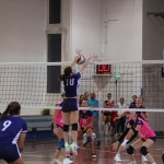 Odbojka D liga : Kontoval Zalet - Maurica Mucci