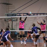 Odbojka D liga : Kontoval Zalet - Maurica Mucci