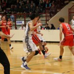 Košarka B liga : Jadran Gostol : Falconstar