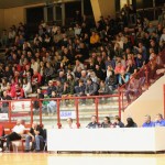 Košarka B liga : Jadran Gostol : Falconstar