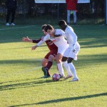 Nogomet 2.AL : Primorec - Muglia