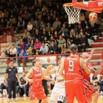 Košarka B liga : Jadran Gostol : Falconstar