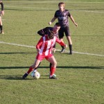 Nogomet promocijska liga : Kras Repen - Ts Academy