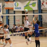 Odbojka 1.div. : Zalet dvigala Barich - Olympia Ts