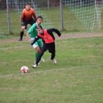 Nogomet U 19 : Kras Repen - Domio