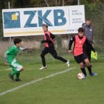 Nogomet U 19 : Kras Repen - Domio