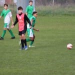 Nogomet U 19 : Kras Repen - Domio