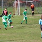Nogomet U 19 : Kras Repen - Domio