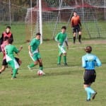 Nogomet U 19 : Kras Repen - Domio