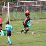 Nogomet U 19 : Kras Repen - Domio