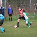 Nogomet U 19 : Kras Repen - Domio