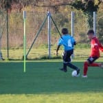 U13: Sovodnje - Audax