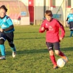 U13: Sovodnje - Audax