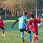 U13: Sovodnje - Audax