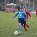 U13: Sovodnje - Audax