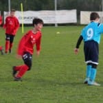 U13: Sovodnje - Audax