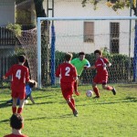 2. Al: Mladost - Breg 6:0