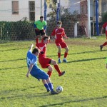 2. Al: Mladost - Breg 6:0