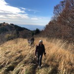 AŠD Mladina: jesenski pohod v Terske doline