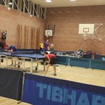 Namizni tenis kras