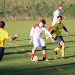 Nogomet 2 AL : Primorje - Zarja