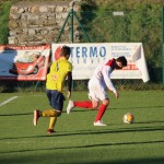 Nogomet 2 AL : Primorje - Zarja