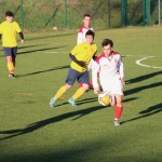 Nogomet 2 AL : Primorje - Zarja