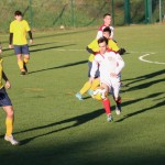 Nogomet 2 AL : Primorje - Zarja