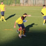 Nogomet 2 AL : Primorje - Zarja