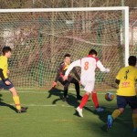 Nogomet 2 AL : Primorje - Zarja