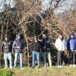 Nogomet 2 AL : Primorje - Zarja