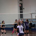 Odbojka D liga : Kontovel Zalet - Faedis