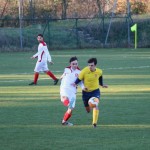 Nogomet 2 AL : Primorje - Zarja