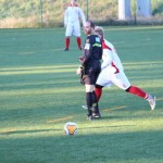 Nogomet 2 AL : Primorje - Zarja