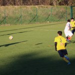 Nogomet 2 AL : Primorje - Zarja