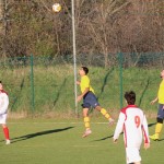 Nogomet 2 AL : Primorje - Zarja